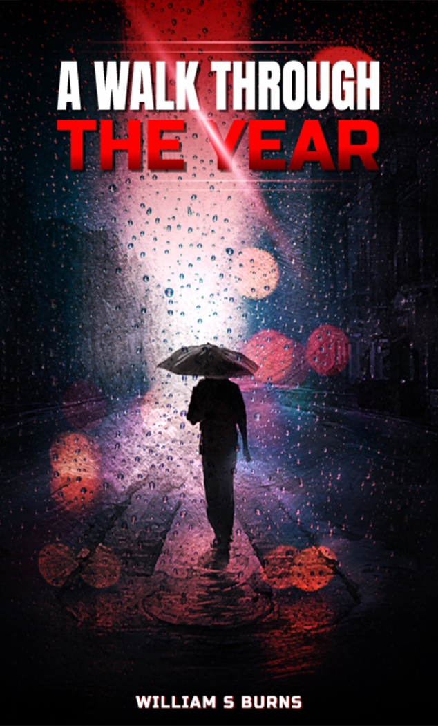Professional book cover design by Amazon Publishers Pros